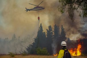 Gobierno cree que extinción total de incendios puede ocurrir la primera quincena de marzo