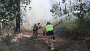 Incendios forestales en combate se reducen a 21 y superficie afectada es de 458 mil hectáreas