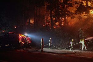 Senapred reporta 22 incendios forestales en combate a nivel nacional