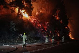 Nuevo fallecido producto de los incendios forestales