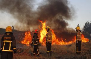 Senapred ordena evacuar sectores de Yumbel y Quilleco por incendios forestales