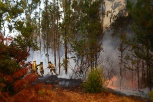 Anuncian medidas para fortalecer respuesta en salud mental a afectados por incendios en Purén y Lumaco