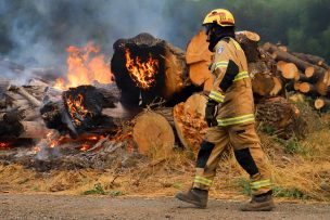 Incendios forestales: conoce qué es el 