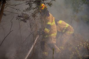 Senapred pide evacuar sectores de Purén por avance de incendio forestal