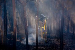 Reportan corte de rutas en Tomé debido a incendios forestales