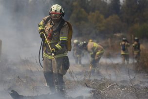 Conoce los derechos laborales de los voluntarios de Bomberos