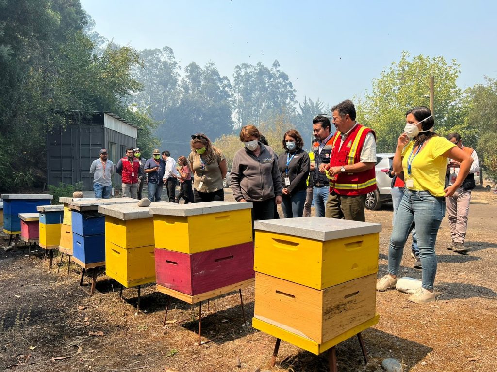 Valenzuela desde la región del Biobío: “Viene una segunda oleada de apoyo a pequeños agricultores afectados por los incendios”