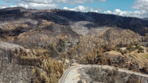 Nuevo balance de incendios forestales: Son casi 453 mil hectáreas afectadas y aún siguen 42 incendios en combate