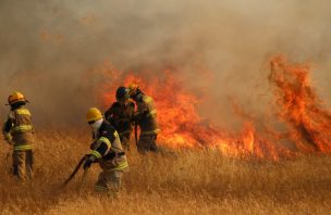 Incendios forestales: Senapred ordena evacuar sectores La Chichara, Yahuilo y Pallauquen en Yumbel