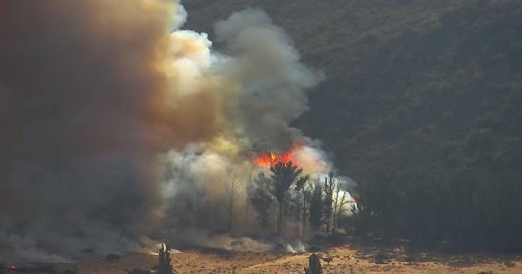 Logran controlar incendio en Casablanca: Llamas consumieron más de 30 hectáreas