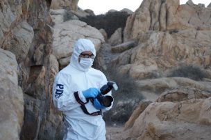 Hallan cuerpo en playa de Totoralillo: Se trataría de menor de 14 años extraviado desde enero