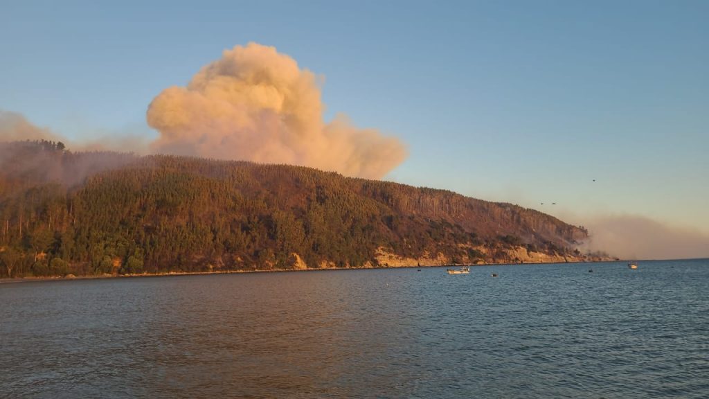 Incendio forestal en Arauco: Ordenan evacuar sector de Punta Lavapie