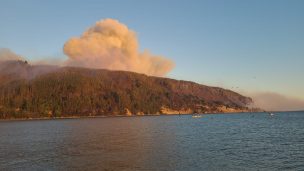 Incendio forestal en Arauco: Ordenan evacuar sector de Punta Lavapie