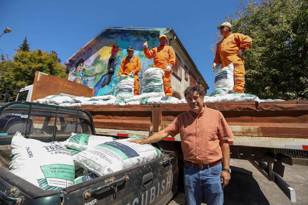 Ministerio de Agricultura destinará $3.400 millones más para alimentación animal en zonas afectadas por incendios forestales