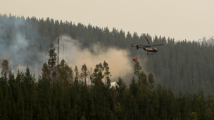 Incendios Forestales: Gobierno se querella contra sujeto que no dejó sacar agua de su piscina en Yumbel