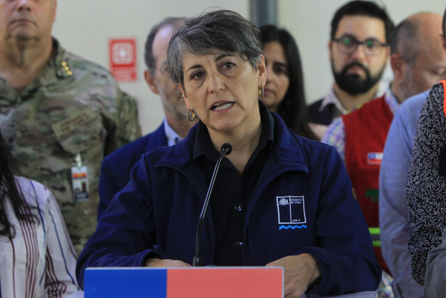 Ministra Aguilera e incendio en Peñaflor: “Esta es la primera Alerta Roja que tenemos en la RM”