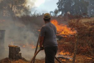 Ordenan evacuar a toda el área urbana de Ninhue por situación crítica provocada por incendios forestales