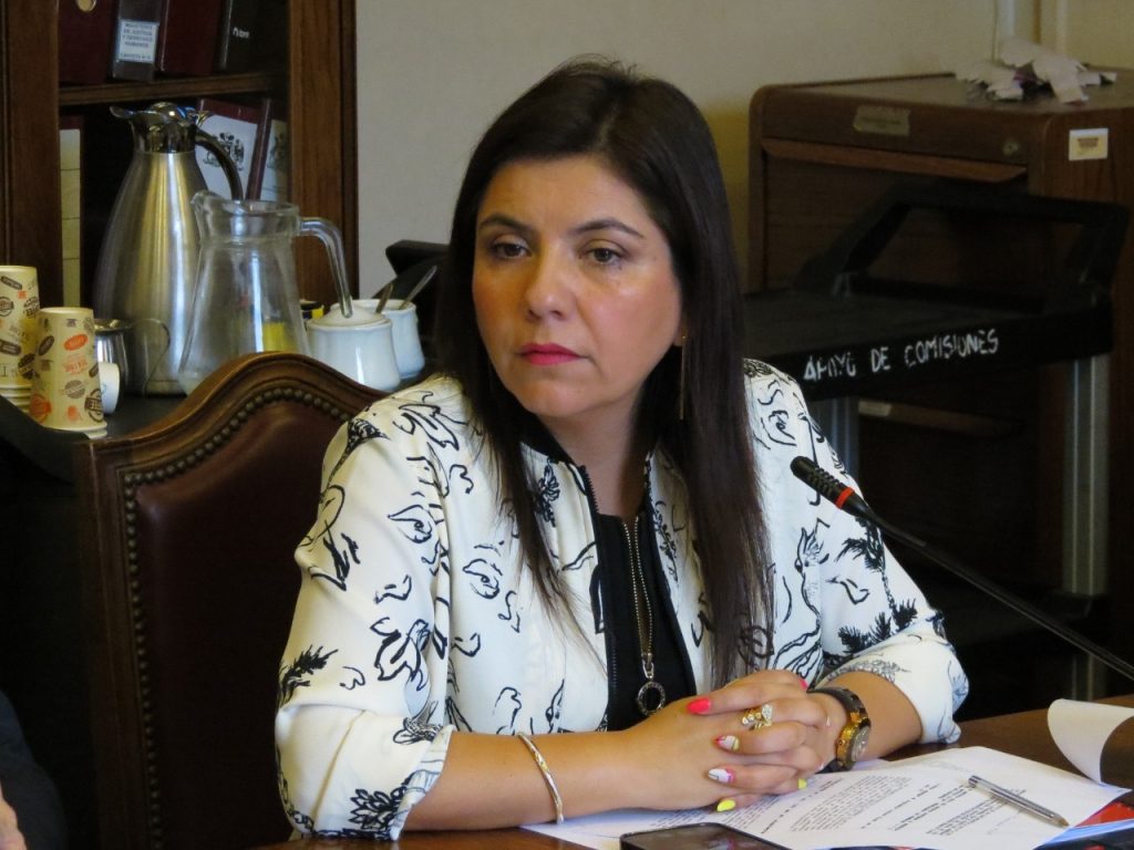 Diputada Astudillo asegura que aumento de dotación de PDI y Carabineros es fundamental para combatir la delincuencia