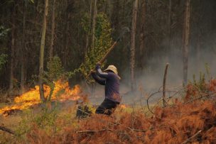 CAM se desmarca de los incendios forestales y solidarizó con las personas afectadas por el siniestro