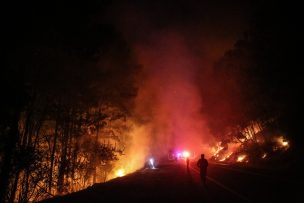 Senapred decretó Alerta Roja en Cauquenes por incendio forestal