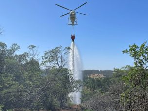 Corma y empresas forestales: “Nuestro foco es cero incendios y perseguir intencionalidad”