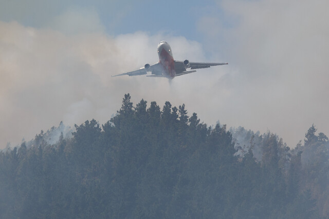 Corma calificó de “inoportuno” hablar de regulaciones para la actividad forestal y mundo rural