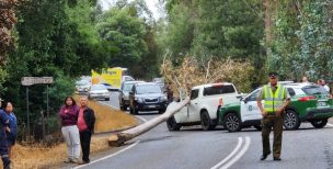 Exdirector de Conaf falleció en fatal accidente en La Araucanía