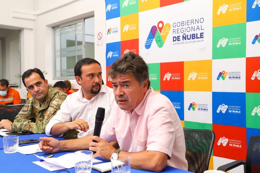 Decretan “emergencia agrícola” para la Región de Ñuble a raíz de los incendios forestales