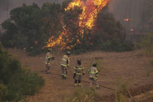 Incendios forestales: Hay 70 en combate y hectáreas quemadas bordean las 450 mil