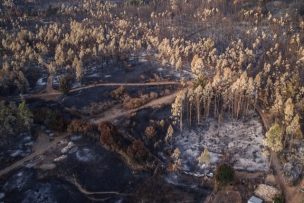 Incendios forestales: Hay 26 en combate y hectáreas consumidas van en 457 mil