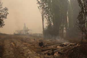 Incendios forestales: Hay 24 en combate y 440 mil hectáreas destruidas