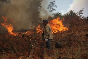 Gobierno entregó balance por incendios forestales: Hay 309 activos y 174 controlados