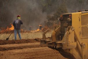 PDI indicó que hay 19 órdenes de investigación por incendios forestales en La Araucanía