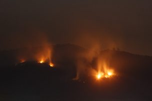 Senapred anuncia evacuar sectores de Coronel tras reactivación de incendios foretales