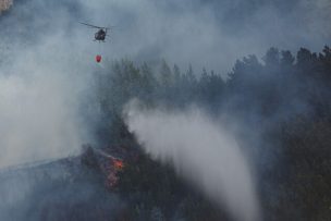 Incendios forestales: Hay 67 en combate y un total de 430 mil hectáreas destruidas