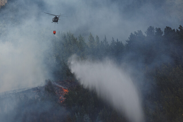 Incendios forestales: Hay 67 en combate y un total de 430 mil hectáreas destruidas