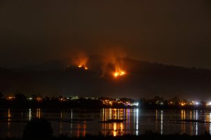 Incendios forestales: Existen 57 en combate y hay 432 mil hectáreas destruidas