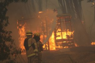 Emiten Alerta Roja en Primavera por incendio forestal: Siniestro amenaza a viviendas cercanas