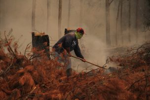 Incendios forestales: Hay 55 en combate y hectáreas afectadas superan las 435 mil