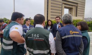 Autoridades llaman a evitar contacto con aves silvestres y animales marinos por influenza aviar