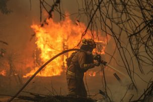 Ordenan evacuar el sector de Huacalemu en Ñuble por incendios forestales