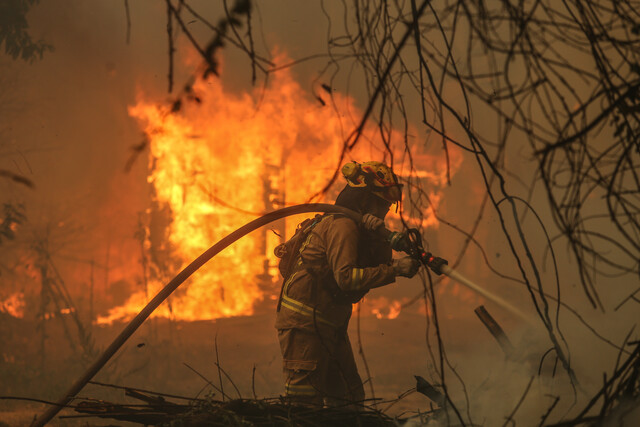 Balance incendios: una víctima fatal, dos heridos y más de 4.000 hectáreas devastadas