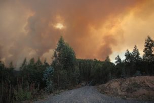 Ministerio de Hacienda actualiza cálculo de costo contables de los incendios forestales en zona centro sur del país