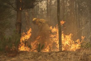 Gobierno confirma muerte de brigadista en medio de incendios forestales