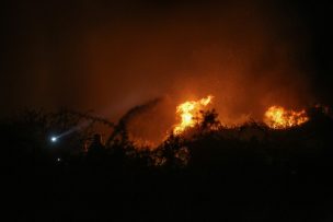 Municipalidad de Pucón suspendió los eventos masivos a causa de los incendios forestales