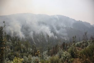 Reportan corte de luz en 15 comunas de la región de O'Higgins por incendios forestales