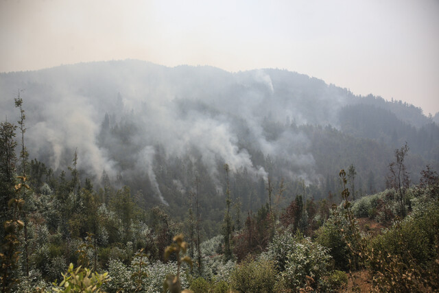 Reportan corte de luz en 15 comunas de la región de O’Higgins por incendios forestales