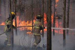 Senapred pidió evacuar el sector Las Raíces por incendios forestales