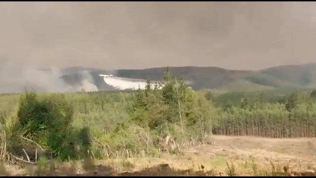 Ten Tanker combatió los incendios forestales y lanzó segunda descarga en Nacimiento