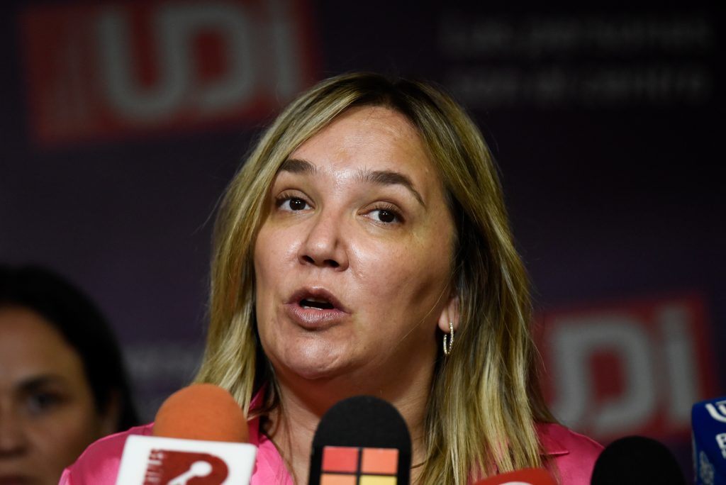 UDI: “El espíritu refundacional de la Convención fracasó, pero no ha muerto”